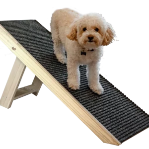 Rampa Pequena + Graminha Box Classic - Kit Seu Pet Saudável