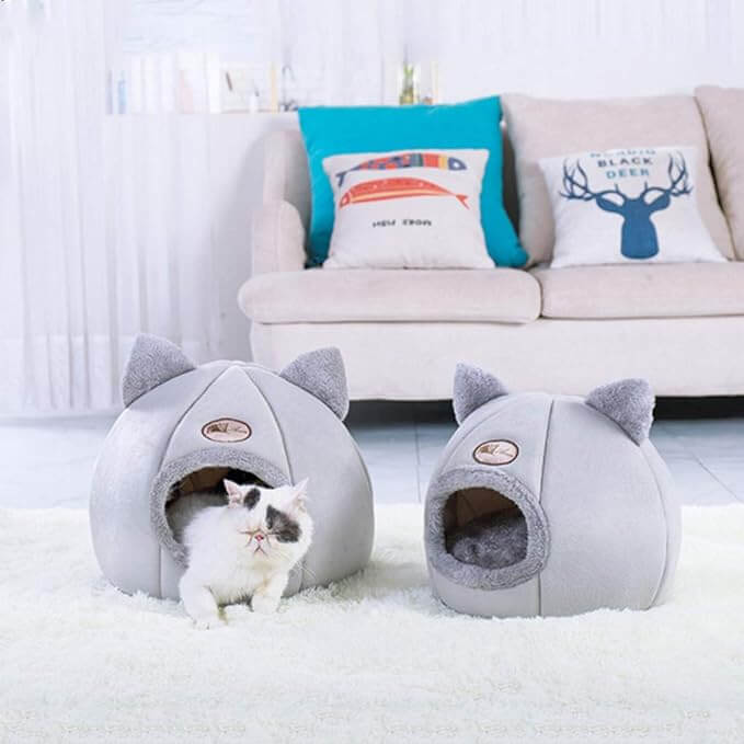 Toca de Gato Caverna Fofinha