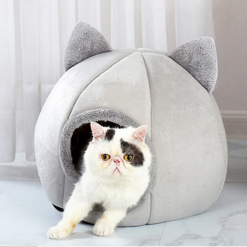 Toca de Gato Caverna Fofinha