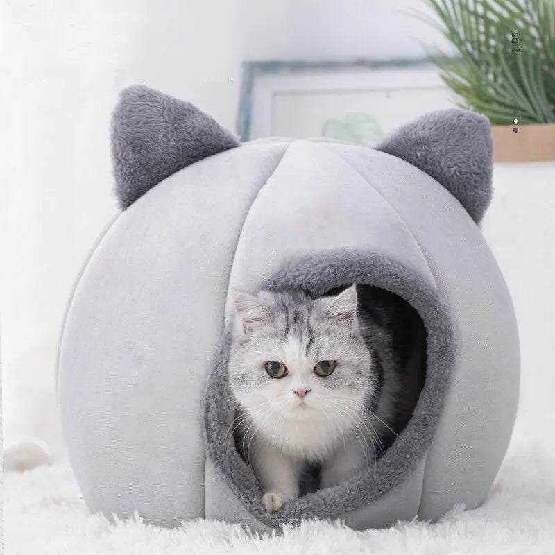 Toca de Gato Caverna Fofinha