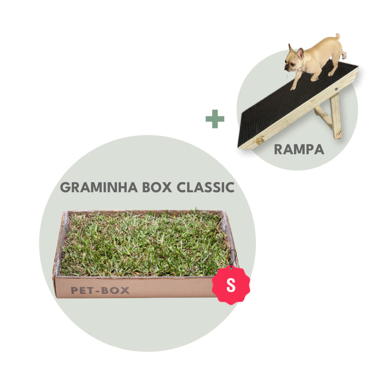 Rampa Pequena + Graminha Box Classic - Kit Seu Pet Saudável